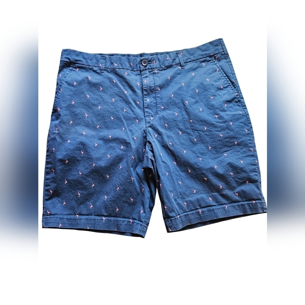 Izod Flamingo Print Shorts Mens Size 40 pockets casual Beach Summer EUC